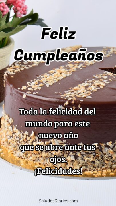 Linda torta Cumpleaños Chocolate Felicidades Frase Saludos Diarios