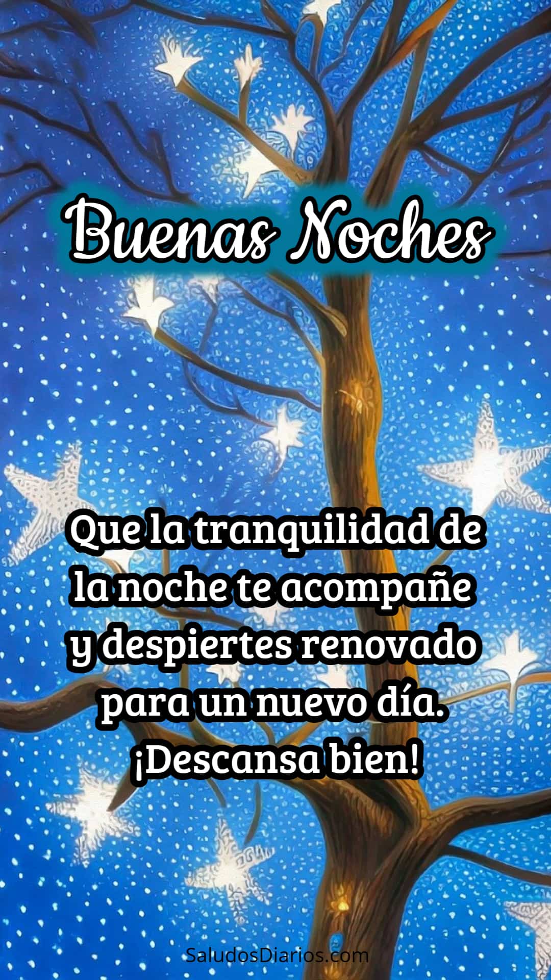 Bendecida Noche Buen Descanso Estrellas Saludos Diarios