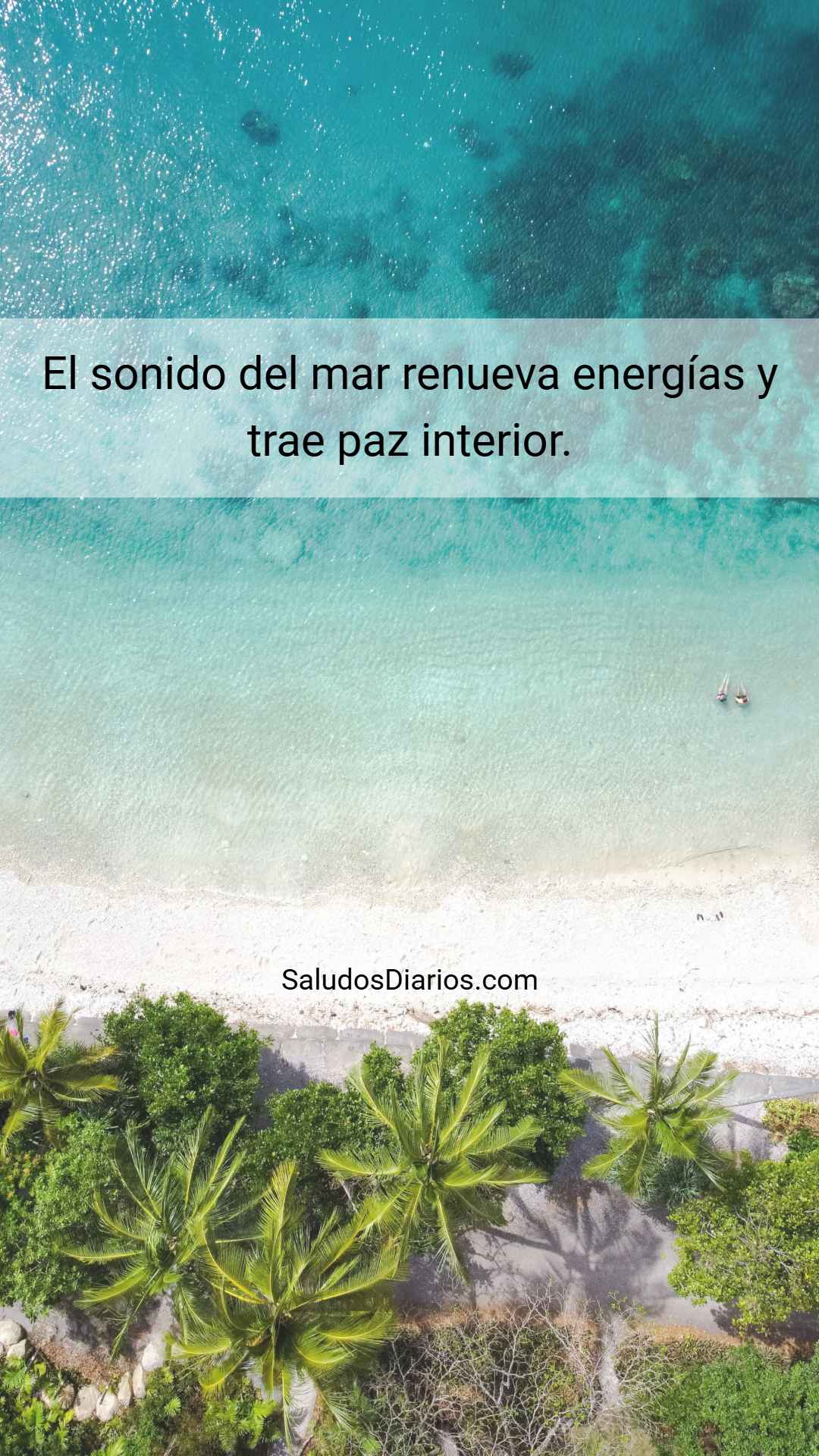 Frases Playa Mar Plantas Saludos Diarios