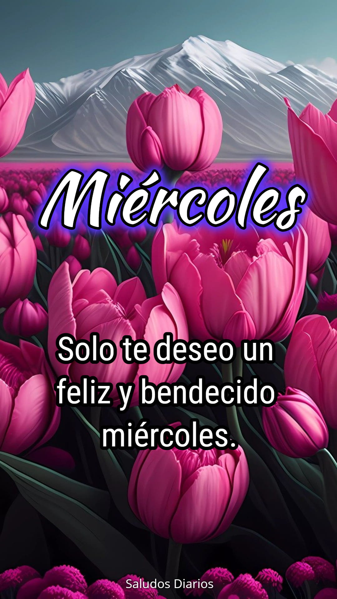 Flores lindas, Miércoles, Bendiciones - Saludos Diarios