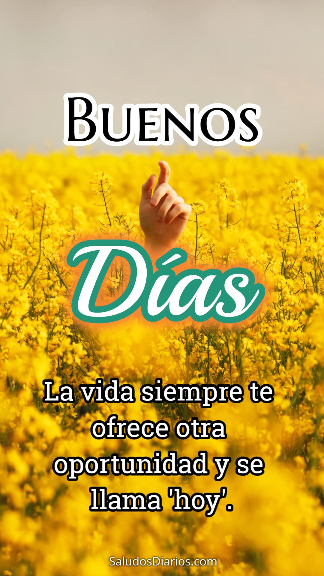 Nueva mañana, Buenos días con flores amarillas, Hoy descargar lindas ...