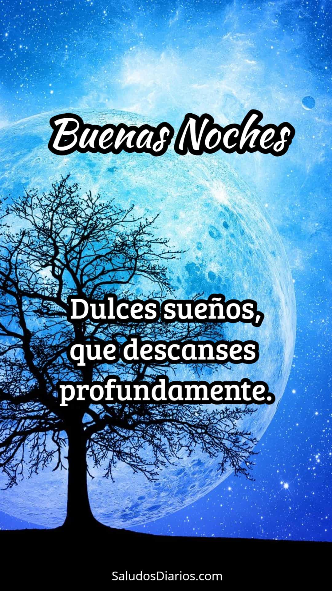 Luna hermosa, Brillo azul, Árbol, Noche maravillosa - Saludos Diarios