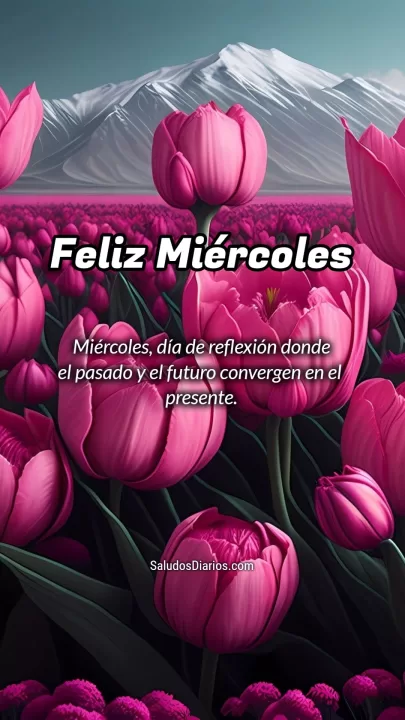 Buen miércoles, Tulipanes diseñados, Frases lindas - Saludos Diarios