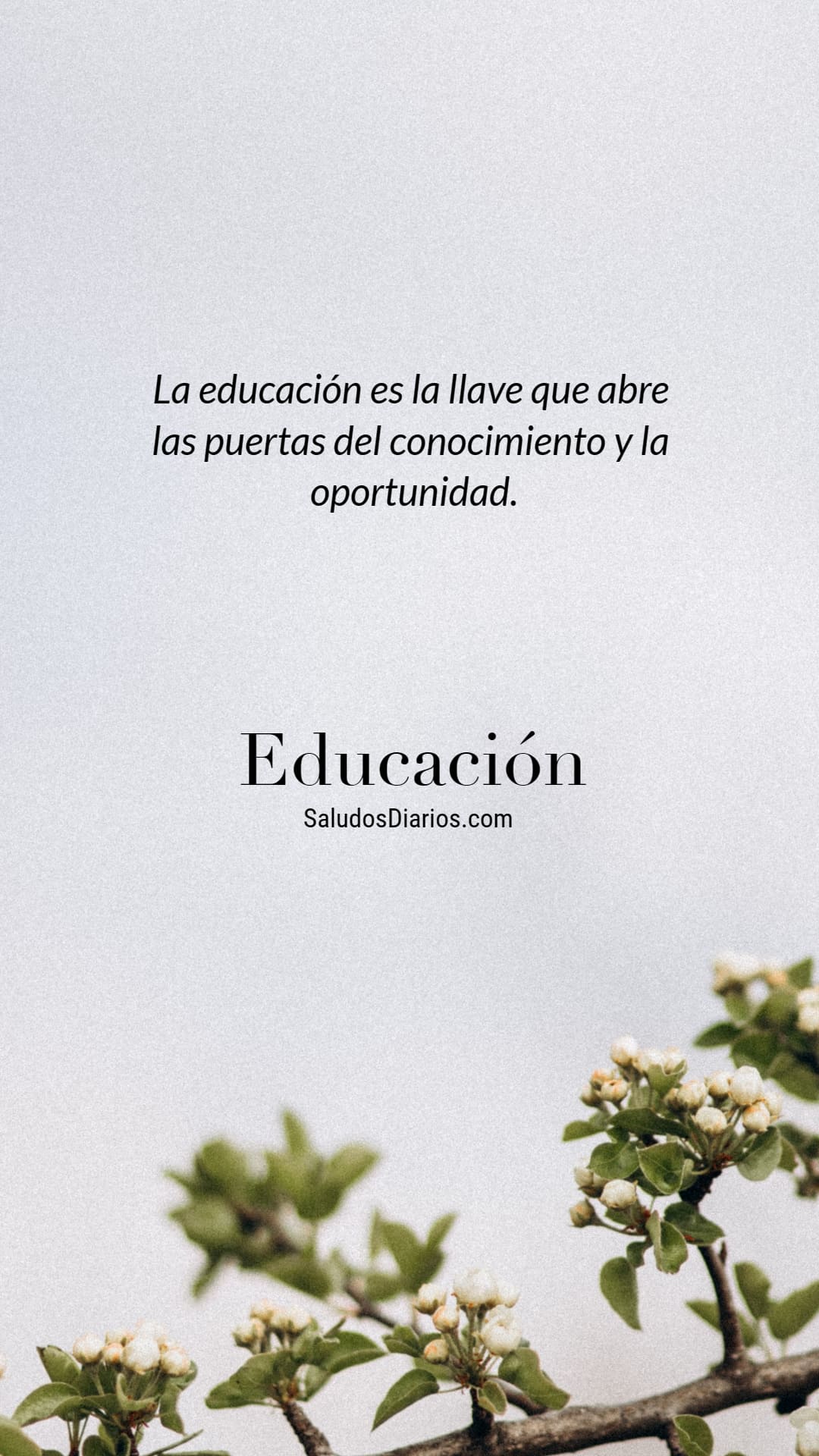 Genial mensajes, Educación, Frases conocimiento - Saludos Diarios