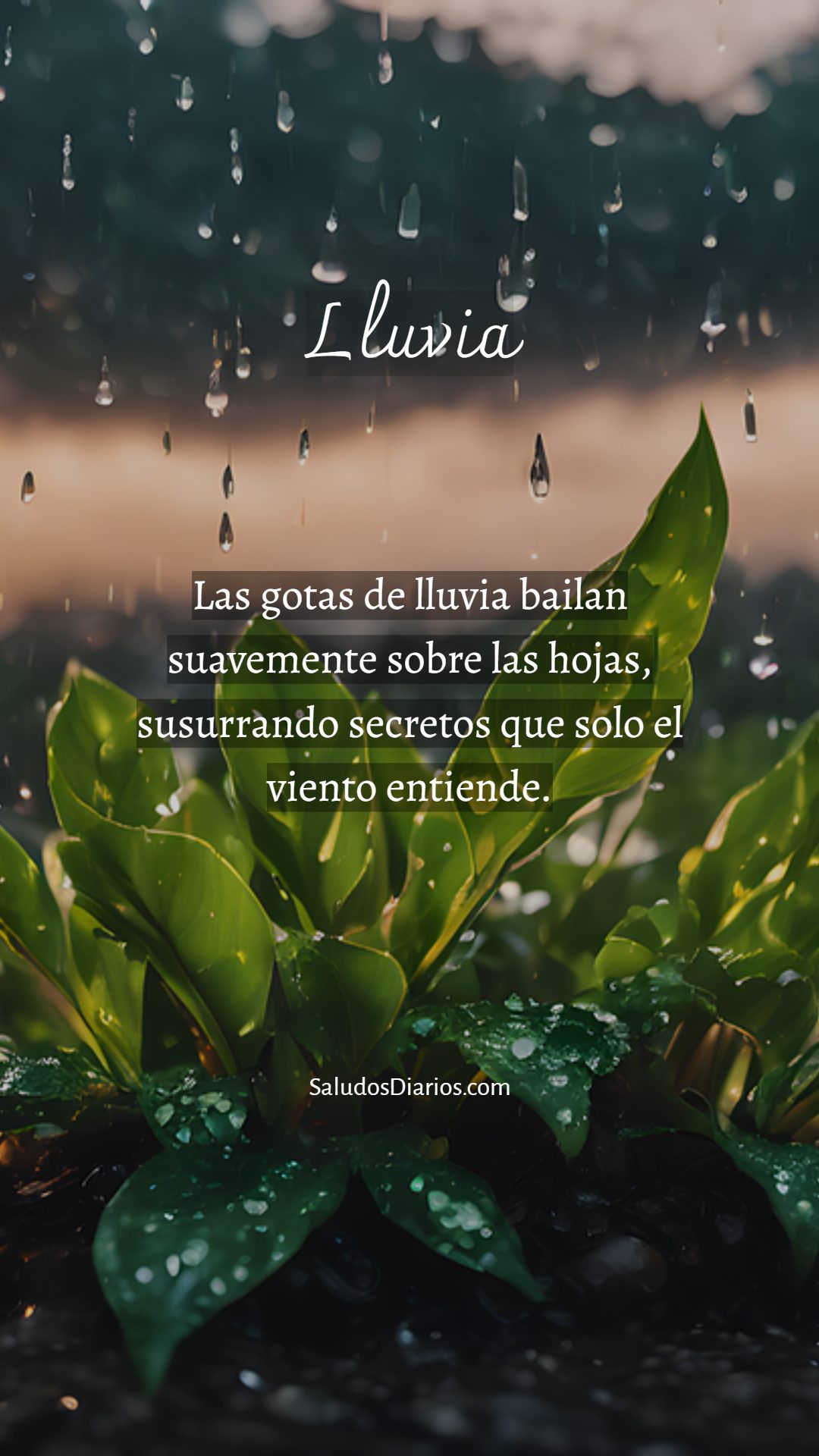 Hermosa lluvia, Cielo nublado, Plantas susurros, Viento frase - Saludos  Diarios