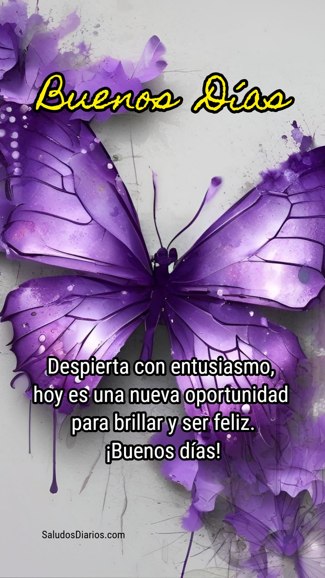 Mariposa morada, Brillos, Buenos días, Superación, Valor - Saludos Diarios