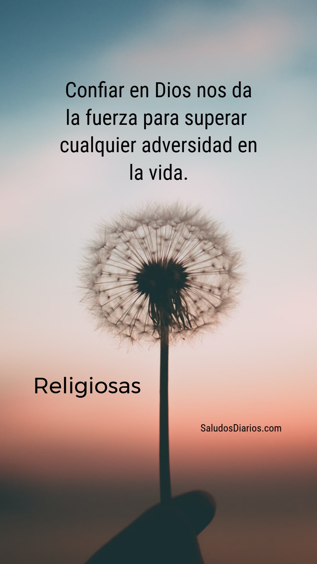 Confianza Dios, Verdad, Amor, Gratitud frases, Diseño - Saludos Diarios