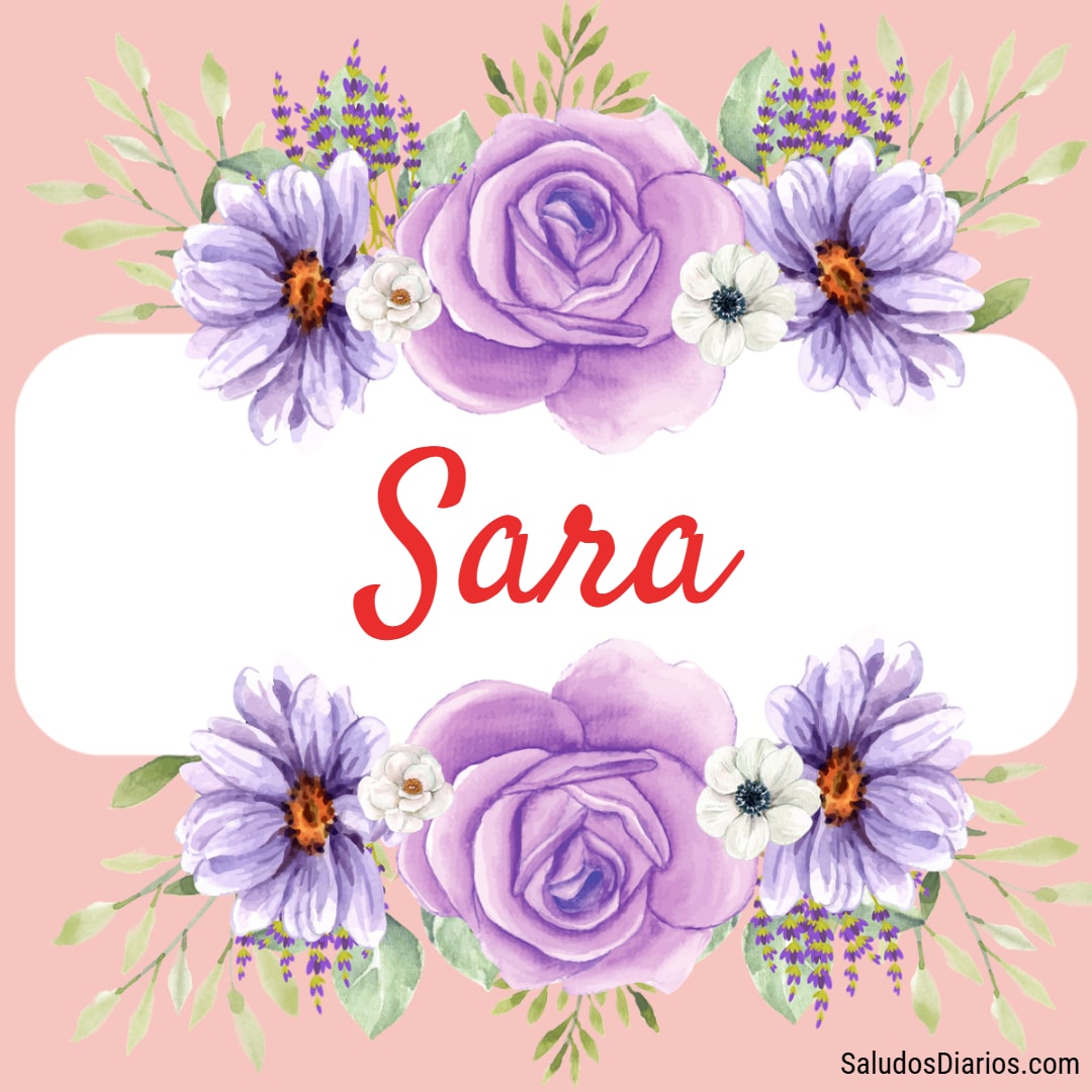 Sara nombre, Para perfil, Rosas lindas, Fondos - Saludos Diarios