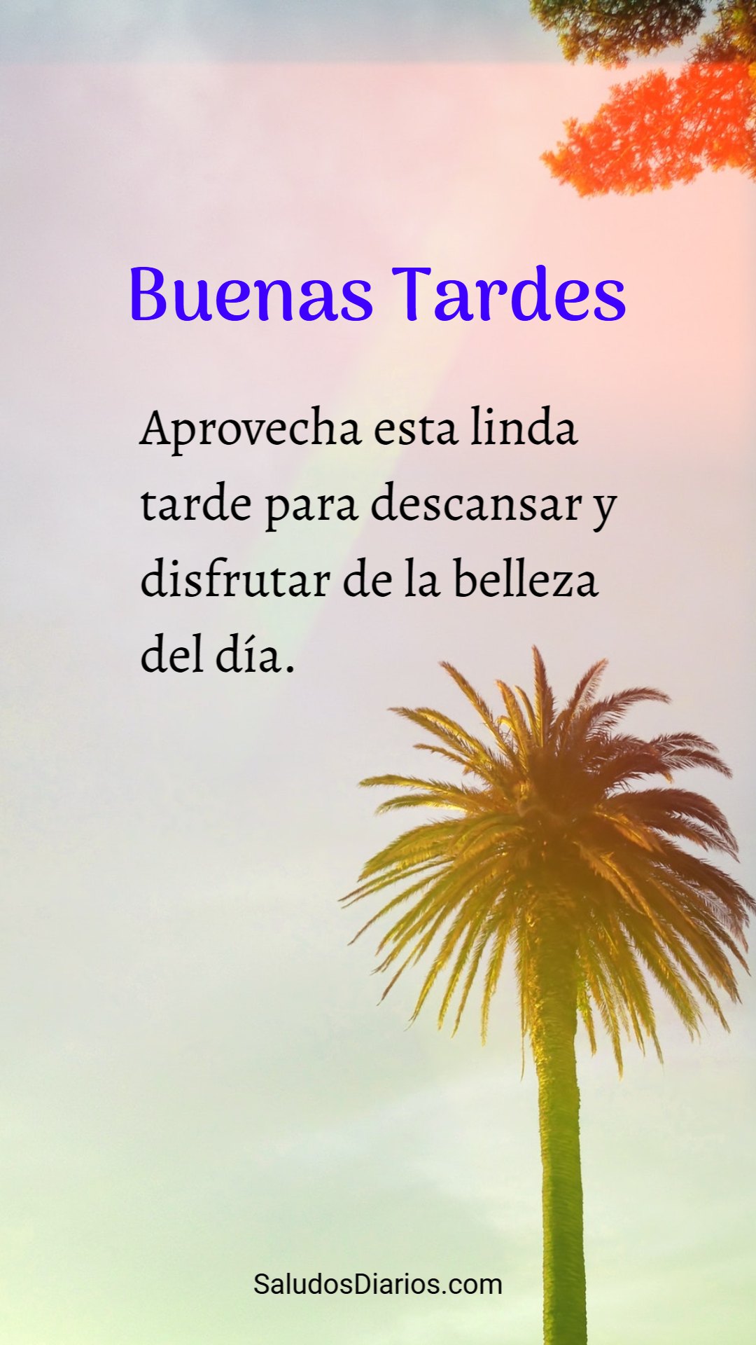 Mejores frases, Tardes descansar, Belleza naturaleza - Saludos Diarios