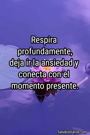 Flor bella zen, visión energía empatía éxito imagen