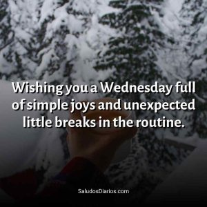 Wishing you a Wednesday full of simple joys and unexpected…